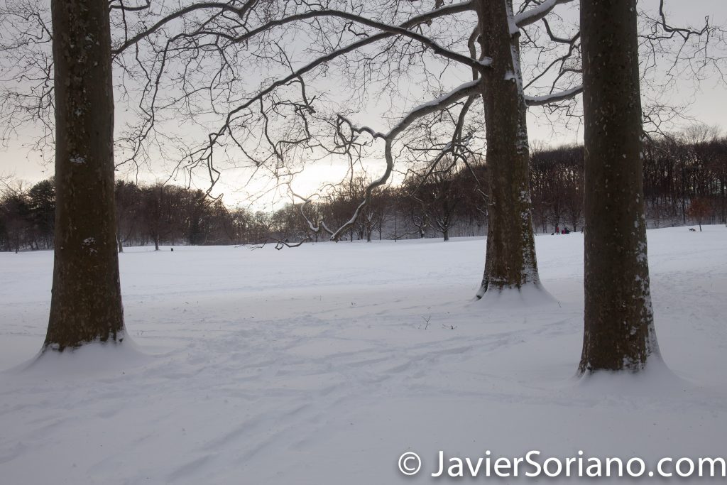 Afternoon. 2/9/2017 NYC - Winter storm Niko in Prospect Park, Brooklyn. Photo by Javier Soriano/www.JavierSoriano.com
