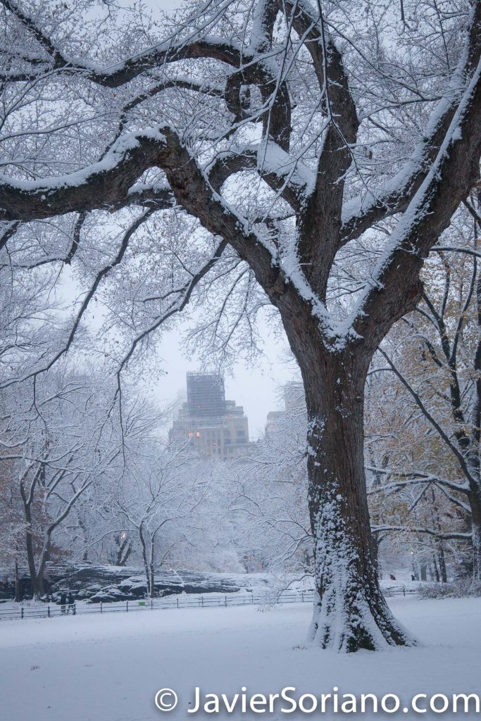 12/09/2017. NYC -Snowfall in Central Park. Nevada en el Parque Central de la Ciudad de Nueva York. Photo by Javier Soriano/www.JavierSoriano.com