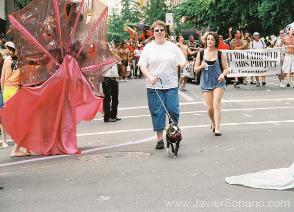 b-new-york-city-lgbt-parade-2009-2