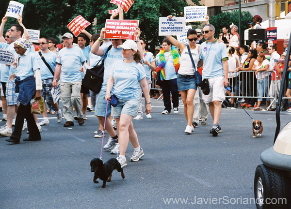 d-nueva-york-lesbian-gay-bisexual-transgender--parade-2009-5