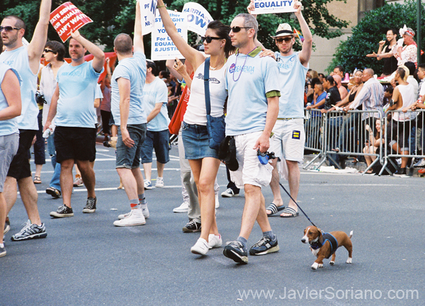 e-nueva-york-lesbico-gay-bisexual-transgenero-parade-2009-1