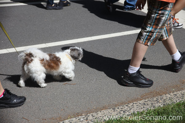 AIDS-WALK-new-york-2010-aaa