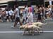 a-LGBT-Parade-NYC-6
