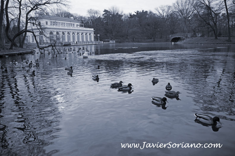 Javier Soriano: A Mexican photographer, activist (among other things) living in New York City - fotografo, activista (entre otras cosas) mexicano viviendo en Nueva York.