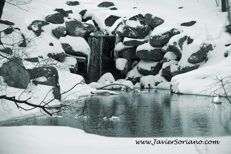 Javier Soriano: Latino photographer in New York City - Fotografo mexicano en la ciudad de Nueva York.