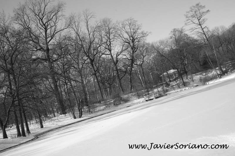 Javier Soriano: Latino photographer in New York City - Fotografo mexicano en la ciudad de Nueva York.
