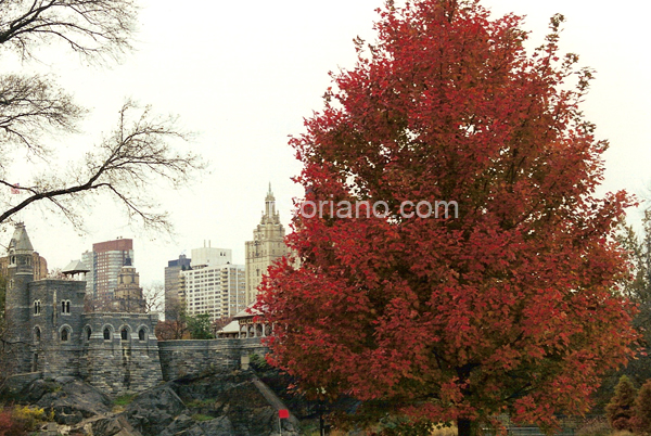 JavierSoriano.com-fall1