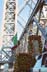 virgen-guadalupe-nyc-e