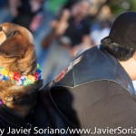 6/13/2015 NYC - Brooklyn PRIDE Parade 2015.
Photo by Javier Soriano/http://www.JavierSoriano.com/
