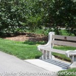 7/7/2015 NYC - Brooklyn Botanic Garden. Jardín Botánico de Brooklyn. Photo by Javier Soriano/http://www.JavierSoriano.com/