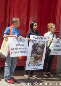 Friday, June 2, 2017 Manhattan, NYC - Rally in New York City to protect horses. Photo by Javier Soriano/www.JavierSoriano.com