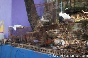 9/14/2017. La Perla, Old San Juan. Puerto Rico. Photo by Javier Soriano/www.JavierSoriano.com