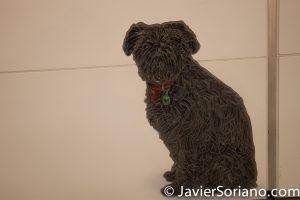 1/1/2017. Manhattan, NYC - Today was the opening of the new Second Avenue Subway. Manhattan, Ciudad de Nueva York - Hoy fue la apertura del nuevo metro de la Segunda Avenida. Photo by Javier Soriano/www.JavierSoriano.com