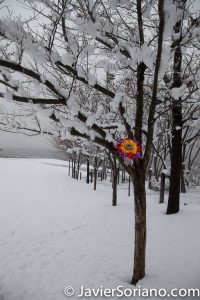 3/21/2018. Brooklyn Bridge Park, Brooklyn, NYC - Winter Storm Toby. 21/3/2018. Parque del Puente de Brooklyn. Ciudad de Nueva York - Tormenta de Nieve Toby. Photo by Javier Soriano/www.JavierSoriano.com