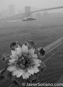3/21/2018. Brooklyn Bridge Park, Brooklyn, NYC - Winter Storm Toby. 21/3/2018. Parque del Puente de Brooklyn. Ciudad de Nueva York - Tormenta de Nieve Toby. Photo by Javier Soriano/www.JavierSoriano.com