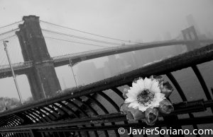 3/21/2018. Brooklyn Bridge Park, Brooklyn, NYC - Winter Storm Toby. 21/3/2018. Parque del Puente de Brooklyn. Ciudad de Nueva York - Tormenta de Nieve Toby. Photo by Javier Soriano/www.JavierSoriano.com
