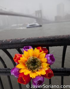 3/21/2018. Brooklyn Bridge Park, Brooklyn, NYC - Winter Storm Toby. 21/3/2018. Parque del Puente de Brooklyn. Ciudad de Nueva York - Tormenta de Nieve Toby. Photo by Javier Soriano/www.JavierSoriano.com