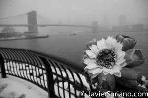 3/21/2018. Brooklyn Bridge Park, Brooklyn, NYC - Winter Storm Toby. 21/3/2018. Parque del Puente de Brooklyn. Ciudad de Nueva York - Tormenta de Nieve Toby. Photo by Javier Soriano/www.JavierSoriano.com