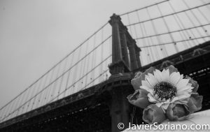 3/21/2018. Brooklyn Bridge Park, Brooklyn, NYC - Winter Storm Toby. 21/3/2018. Parque del Puente de Brooklyn. Ciudad de Nueva York - Tormenta de Nieve Toby. Photo by Javier Soriano/www.JavierSoriano.com
