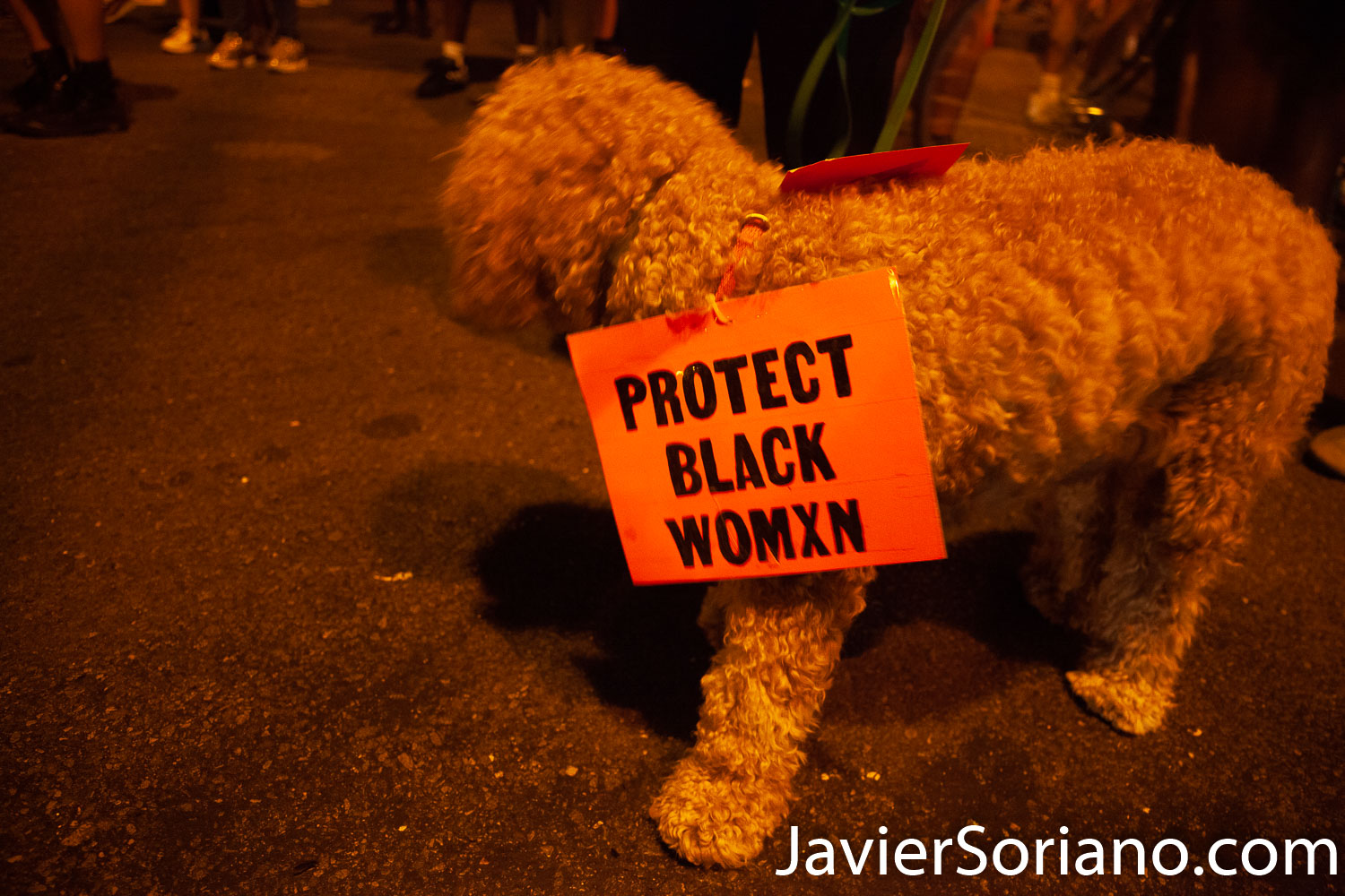 Thursday, July 30, 2020. Manhattan, New York City - Rally and March: “Not in our city. Not on our watch.” Demonstrators gathered at Foley Square Park where they had a rally. Speakers spoke in support of undocumented immigrants, Trans women, Trans men and the Black community, in general. After the rally, protesters marched to Park Row and Worth St where activists staged a Die-in for victims of police brutality in New York and in the country. Demonstrators also demanded the resignation of the New York City Police Commissioner, Dermot Shea. Photo by Javier Soriano/www.JavierSoriano.com