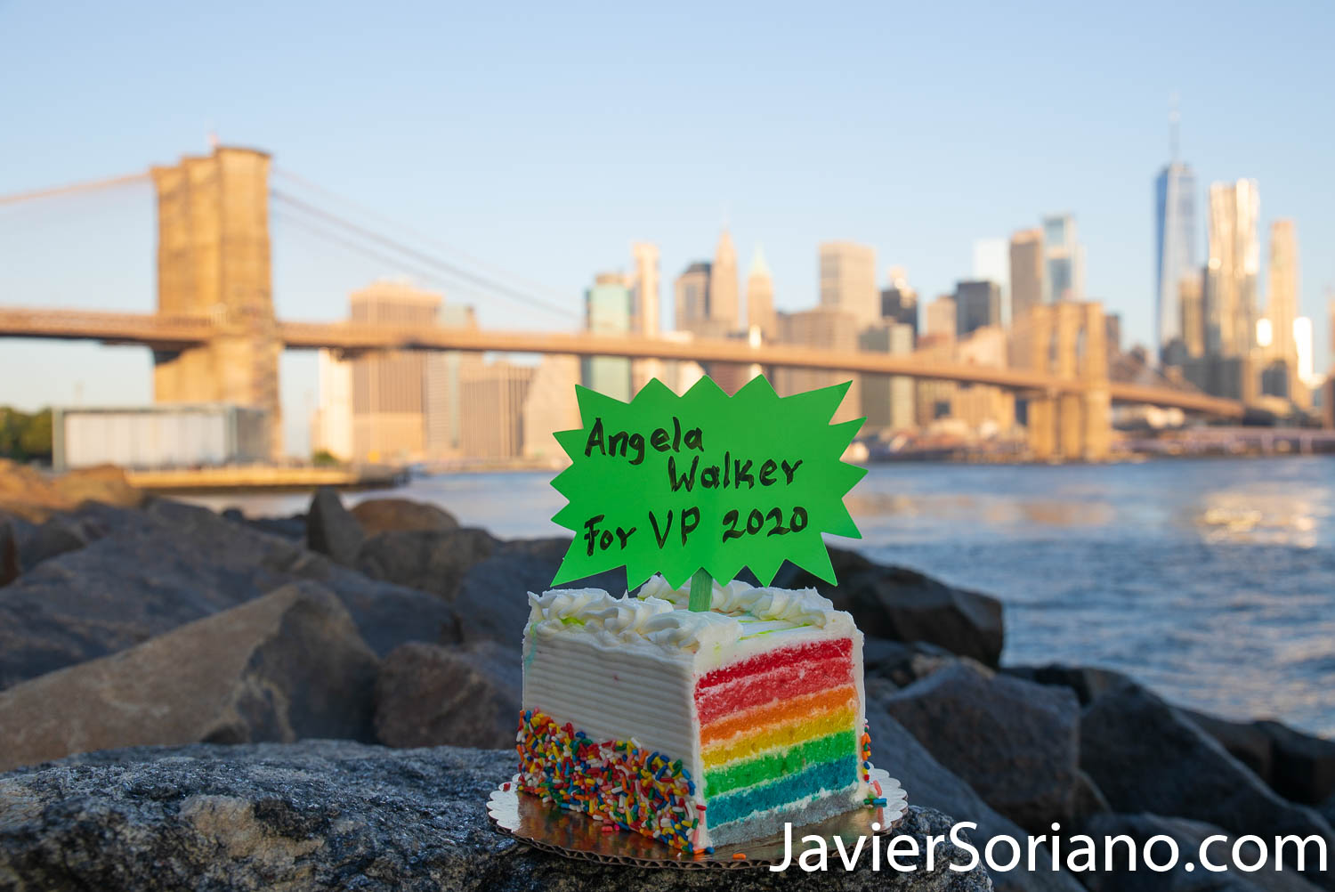 Angela Walker is the Vice President nominee of the Green Party USA in 2020. More info: HowieHawkins.us Photo by Javier Soriano/www.JavierSoriano.com