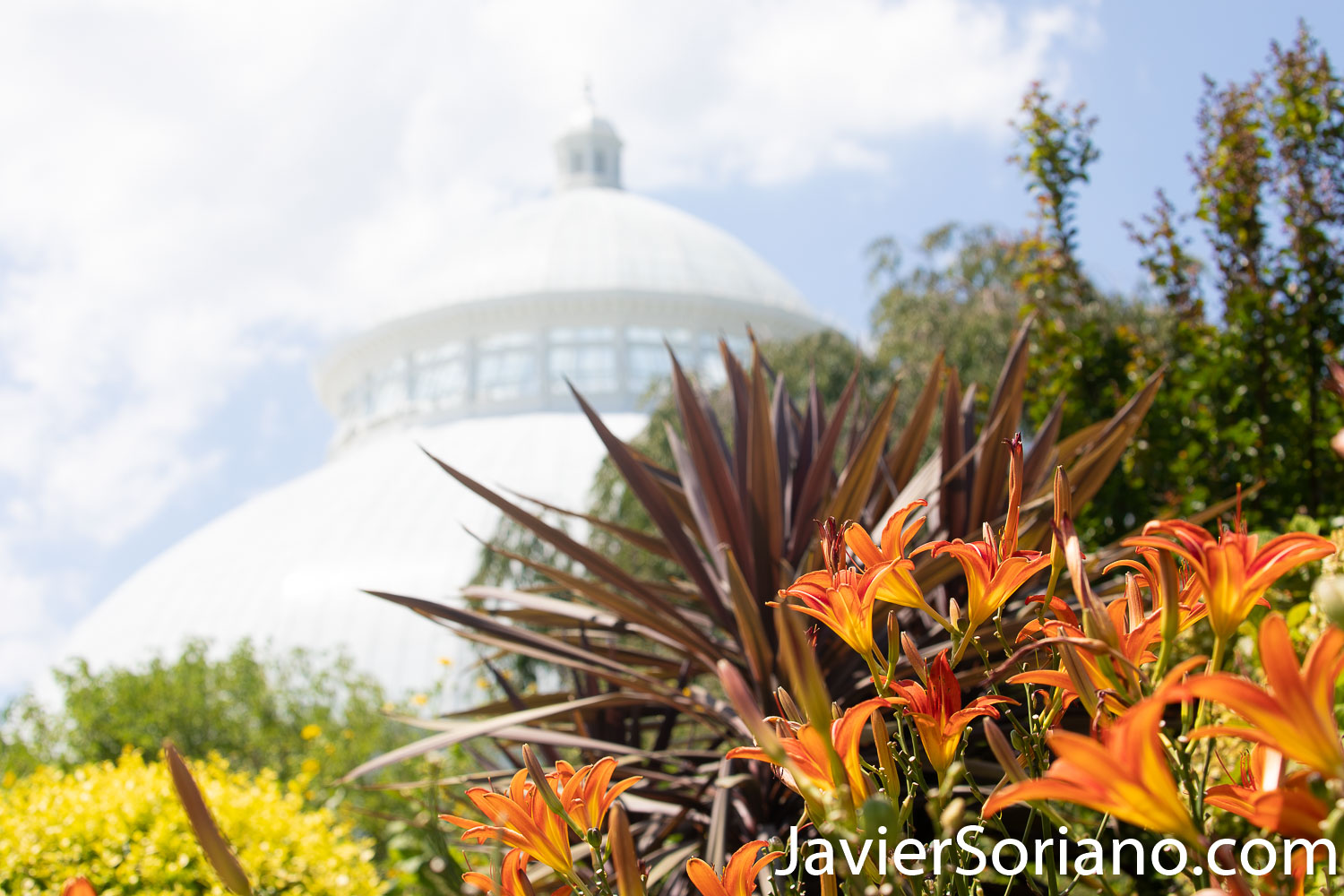 Wednesday, August 5, 2020. New York City – The New York Botanical Garden in the Bronx closed its doors when the coronavirus pandemic started in New York City. After a few months, the NYBG reopened to the public on Tuesday, July 21, 2020. Photo by Javier Soriano/www.JavierSoriano.com