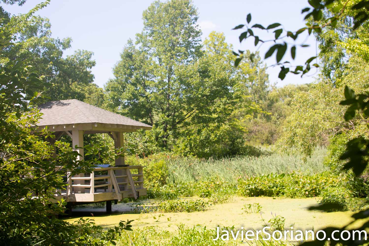 Wednesday, August 5, 2020. New York City – The New York Botanical Garden in the Bronx closed its doors when the coronavirus pandemic started in New York City. After a few months, the NYBG reopened to the public on Tuesday, July 21, 2020. Photo by Javier Soriano/www.JavierSoriano.com