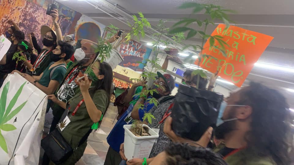 Sábado 12 de septiembre de 2020. Ciudad de Mexico. Fumatón en protesta al uso de perros en el metro para perseguir usuarias y usuarios de cannabis. Activistas llevaron plantas reales de mariguana a la manifestación. El anuncio dice: "Hasta la victoria verde". Evento organizado por Movimiento Cannabico Mexicano. Foto: César Olvera.