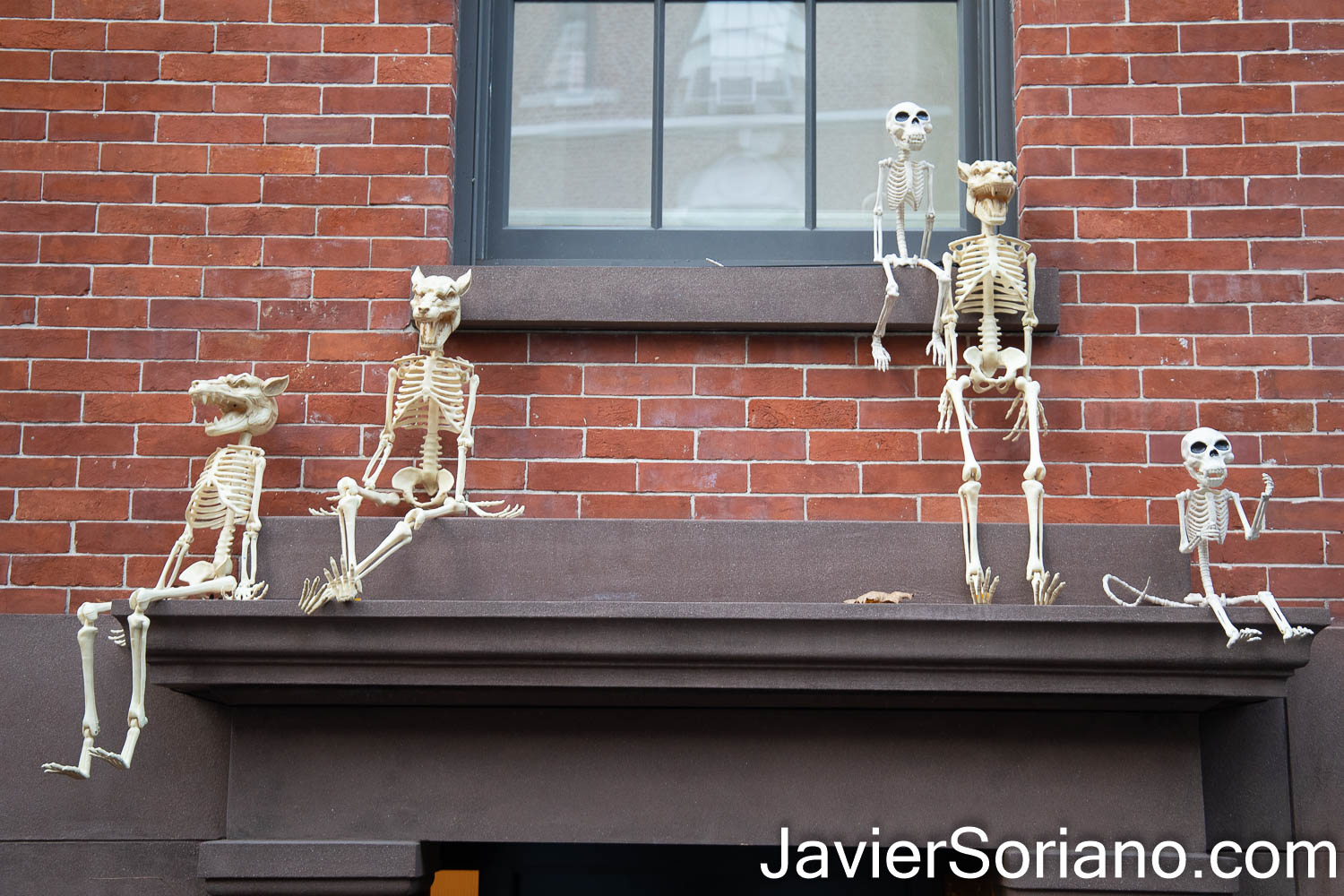 Saturday, October 31, 2020. Manhattan, New York City – Halloween in "The City That Never Sleeps". Photo by Javier Soriano/www.JavierSoriano.com